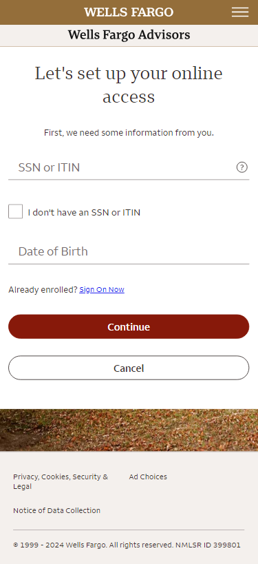 screenshot of let’s set up your online access on the Wells Fargo Mobile® app