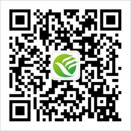 青浦区招聘会预告：倒计时2天！本周六这场招聘会292个就业机会等你来！（2024年12月14日）